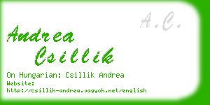 andrea csillik business card